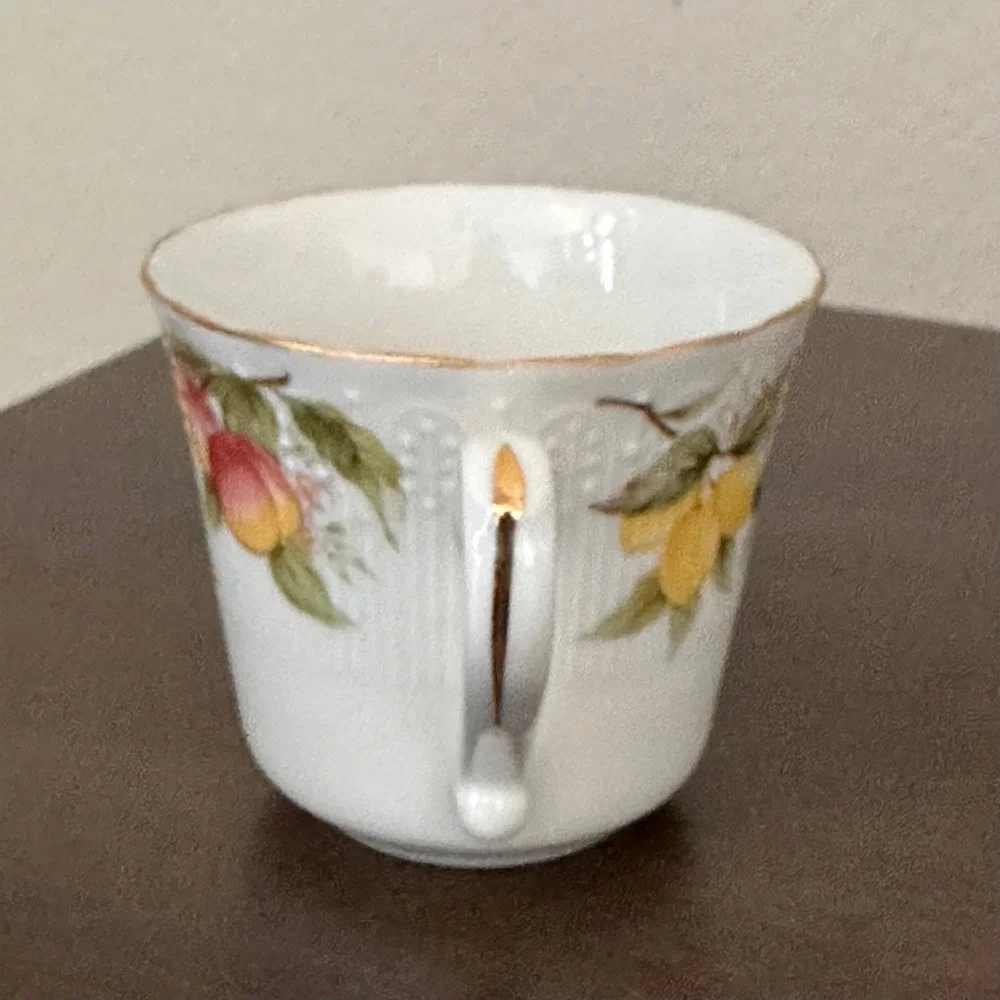 Andrea by Sadek Teacup Saucer‎ Fruit Pattern Gold Trim Made in Japan Porcelain